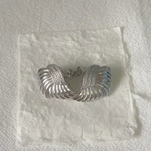 Detailansicht der trendigen europäisch-amerikanischen Flügel-Muschel-Ohrringe mit Zirkon.