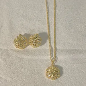 Vergulde klaver kompas hanger ketting en oorknopjes set met schitterende zirkonia.