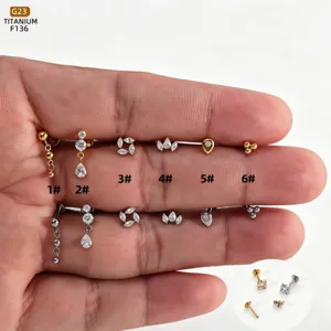 G23 Titan Zirkonia Innengewinde Lippenstecker Labret Ring Mode Krone Geometrischer Anhänger Ohrring Piercing Schmuck Für Unisex