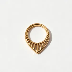 Detailed view of the F136 titanium teardrop segment clicker piercing ring with intricate cutouts.