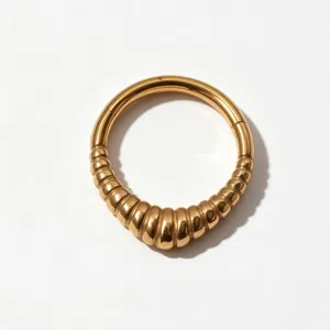 Titanium clicker segment ring detail, teardrop textured piercing jewelry for septum, helix, ear.