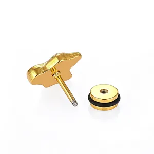 Gold 316L Stainless Steel Screw Back Ear Stud Body Piercing Helix Cartilage Earring