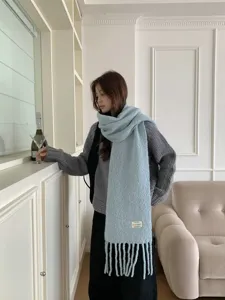 Cozy light blue wool blend winter scarf for women, soft textured tassel design for daily wear.