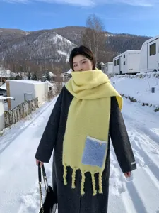 Dicker Winterschal aus Kaschmirimitat mit hübscher Tasche und geflochtenen Quasten für Damen.
