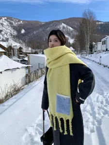 Neuer dicker Kunst-Kaschmir-Schal für Damen mit Tasche und geflochtenen Quasten warmer Schal.