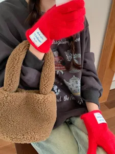 Primo piano di guanti invernali in maglia rossa accoglienti da donna con etichetta bianca chic.