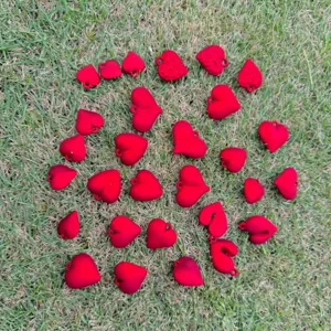 Detailed view of matte red heart-shaped CCB charms scattered on grass for DIY jewelry.
