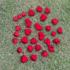 Collection of red matte heart-shaped charms for DIY jewelry on a natural grass lawn
