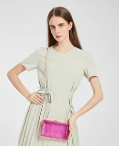Professional model carrying a transparent pink acrylic evening clutch bag with gold chain