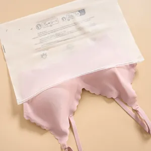 Frosted Plastic Packaging Bags Clear Self Sealing Storage Bags For Underwear Panties Bra Travel Organizer Pouch