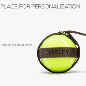 Porte-balle de tennis pour animal en cuir PU, sac de rangement de jouet pour chien avec sangle.