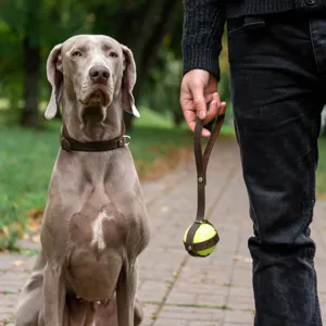 Sangle de support de balle de tennis pour chien en cuir PU et ensemble de jouets