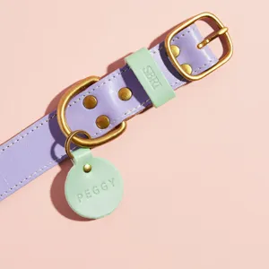 Collar para perro de piel PU personalizado con placa grabada y herrajes dorados.