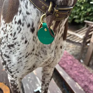 Placa de collar para mascotas de cuero PU personalizada con nombre grabado para perros.