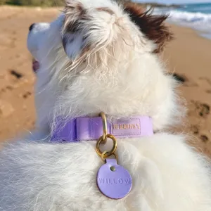 Primer plano detallado de un elegante collar para mascotas de cuero PU violeta claro y placa grabada.