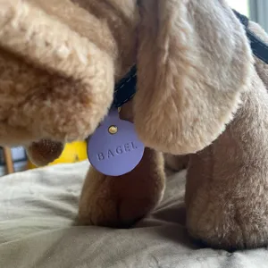Placa de identificación redonda de cuero PU personalizada, colgante para collar de mascotas.