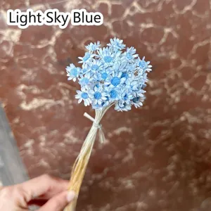 Detailed macro view of light blue mini dried Brazilian star flowers for DIY floral decorations