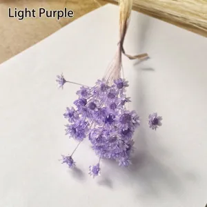 Detailed view of dried light purple Brazilian star flowers for DIY aroma bottle crafts