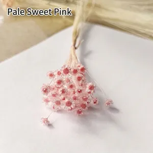Detail view of light sweet pink mini Brazilian star flowers for DIY crafts and decor