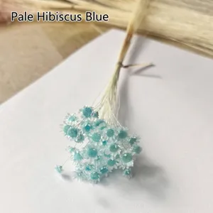 Close-up detail of light blue Brazilian little star flowers for DIY floral arrangement crafts