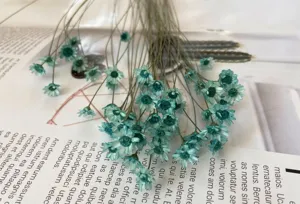 Macro detail view of mini teal Brazilian star flower dried floral DIY materials