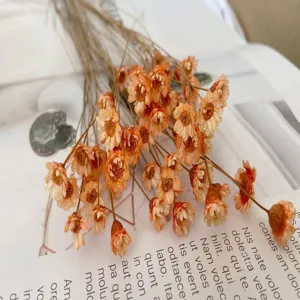 Natural dried orange Brazilian small star flowers for DIY floral DIY craft materials