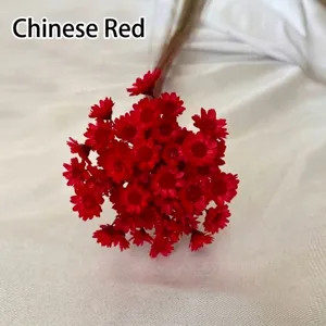 Macro view of mini Brazilian dried star flowers in China Red for DIY crafts