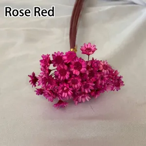 Detailed view of rose red Brazilian little star dried flowers for DIY craft projects