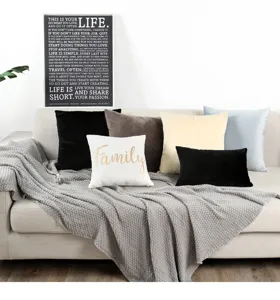 Solid color velvet throw pillow cover set with soft texture for modern living room sofa decor.