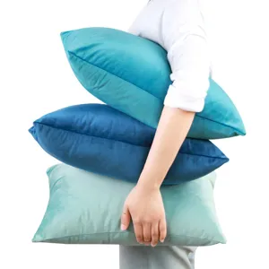 Solid color velvet pillow cover modern minimalist soft cushion for living room sofa home decor style