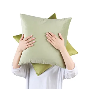 Solid color velvet throw pillow cover modern minimalist cushion for living room sofa home decor.