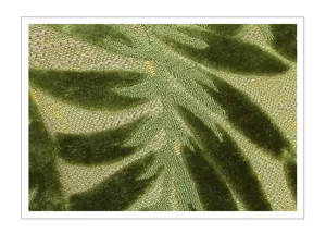 Close-up detail view of green velvet jacquard cushion cover with tropical leaf pattern.