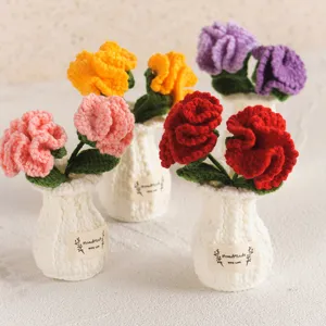Handmade crochet potted flowers with cute knitted vases, perfect office desk home decor.