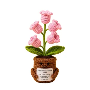 Plante en pot au crochet artisanale avec carte de soutien émotionnel, joli décor.