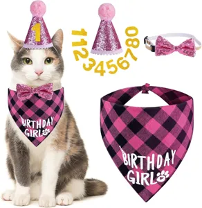 Haustier Geburtstag Set mit rosa Paillettenhut Fliege und kariertem Halstuch für Hunde.