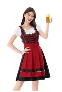 Traditional German Oktoberfest dirndl dress detail, red plaid bodice and white blouse.