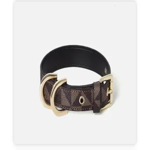 Gros plan détaillé du collier pour animaux marron à monogramme avec boucles dorées.