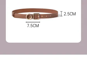 Gedetailleerd overzicht van bruine dames leren riem met metalen gesp en ringdecoratie.