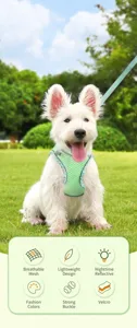 Atmungsaktives Mesh Haustier Geschirr und Leine Set, bequeme Weste für kleine und mittlere Hunde.