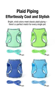 Atmungsaktives Mesh Haustier Geschirr und Leine Set, farbiges Weste Design fur Hunde Katzen.