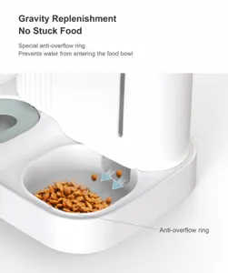 Gros plan de la gamelle pour animaux avec anneau anti-éclaboussures et recharge par gravité.
