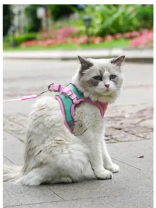 Detailed view of the colorful pet chest harness with pink leash worn by a cat outdoors.