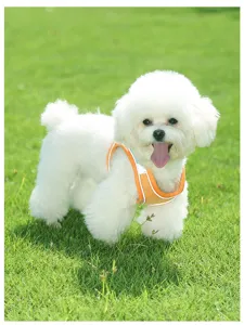 Orange pet chest strap for small dogs and cats, reflective breathable mesh harness detail view.