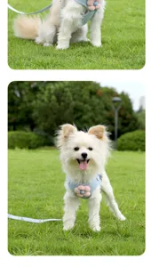 Dog harness detail view showing the cute floral design, soft fabric, and secure outdoor leash.
