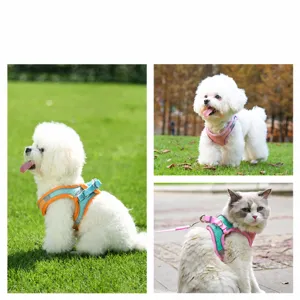 Reflective pet harness and leash set for small dogs and cats, comfortable outdoor walking gear.