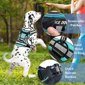 Detail de harnais tactique pour chien avec patchs amovibles, anneau metal et boucles rapides.