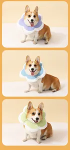 Hübsches Haustier Schutzhalsband im Blumen-Design, weiche Polsterung für Katzen und Hunde.