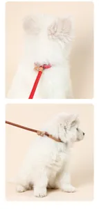 Guinzaglio per cani in nylon resistente con dettagli in pelle, corda P per l'addestramento.