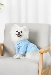 Süße kleine Hunde französische Pyjama hellblaue Haustierkleidung weiche bequeme Kleidung