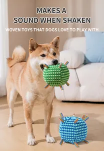 Dog squeak toy interactive plush ball with colorful ribbons for teething and pet play training.